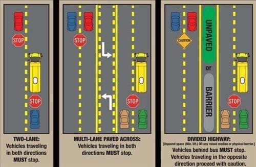 Bus Safety Image 